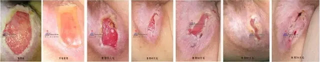 1567587146(1).jpg