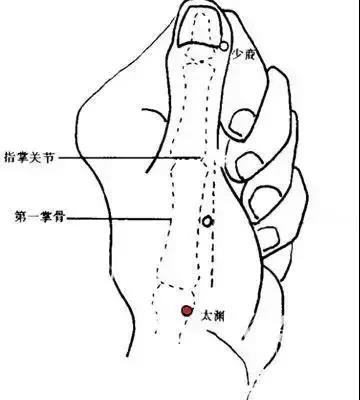 图片关键词