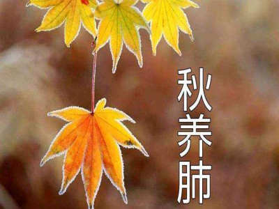 秋季养生重在养肺，这几个养肺方法，照着做好处多多！