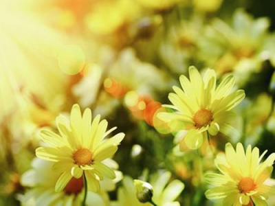 女人要“热养”，光疗——女人最佳健康伴侣！