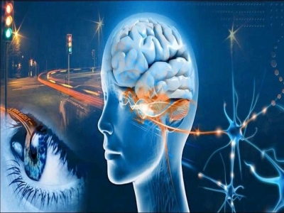 光神巴德尔：以量子科技，解锁眼睛与大脑的奥秘链接